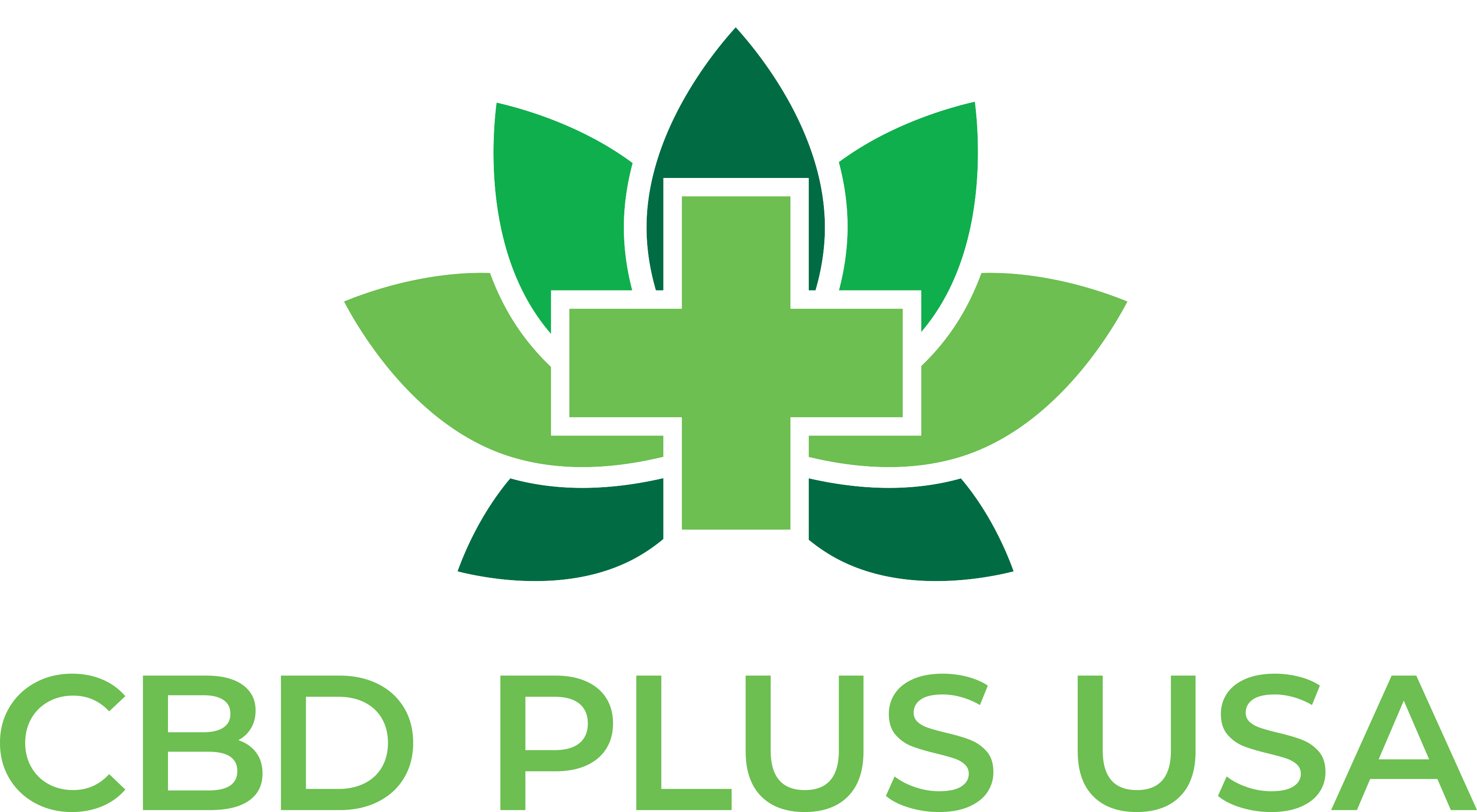 CBD Plus USA logo